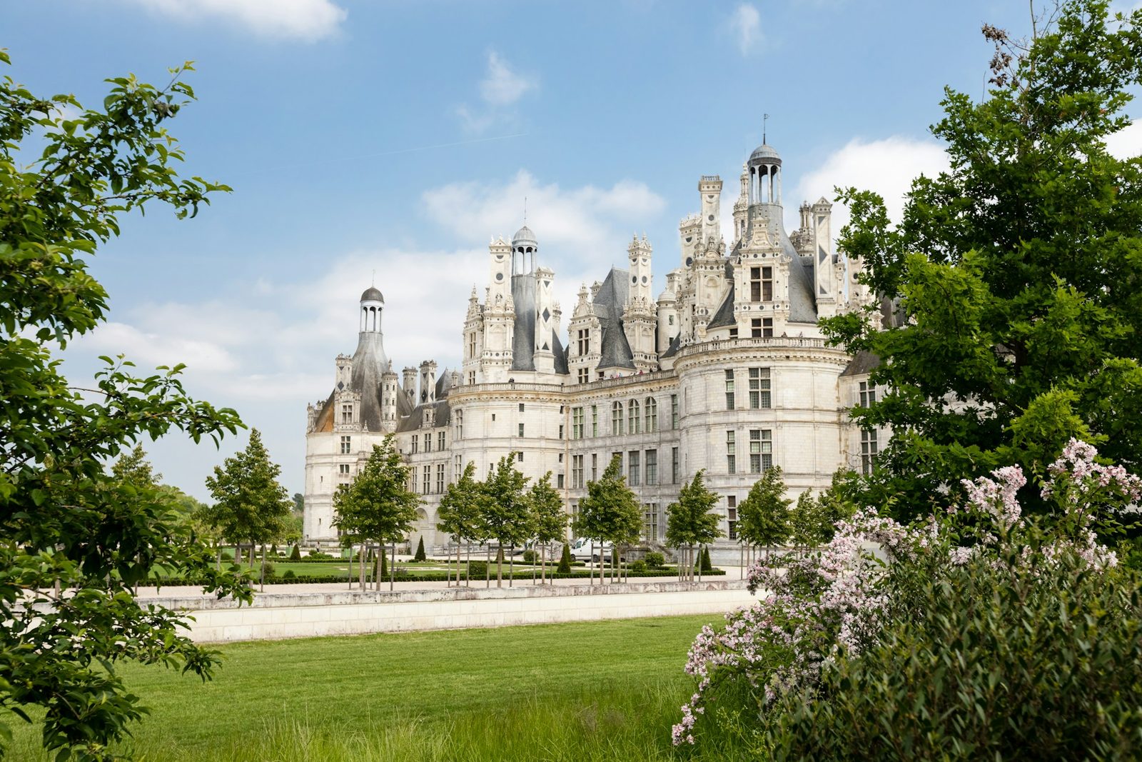 A Loire Valley chateau framed by trees