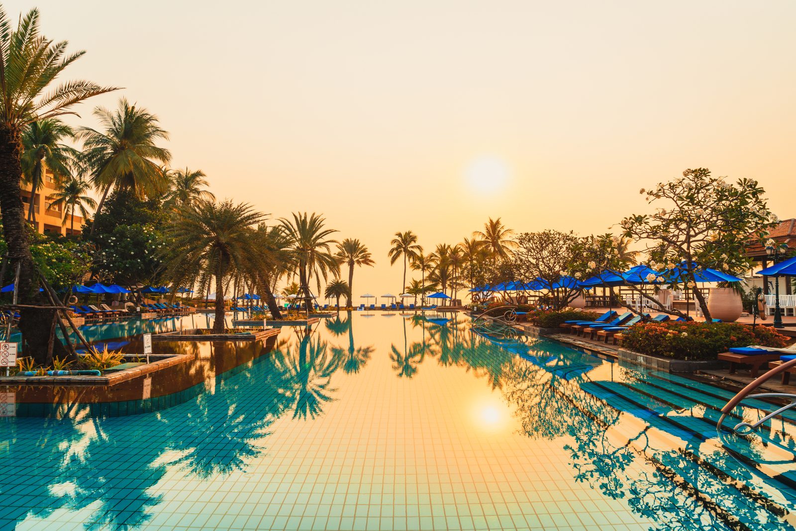 Palm trees, umbrellas and lounge chairs around a resort pool